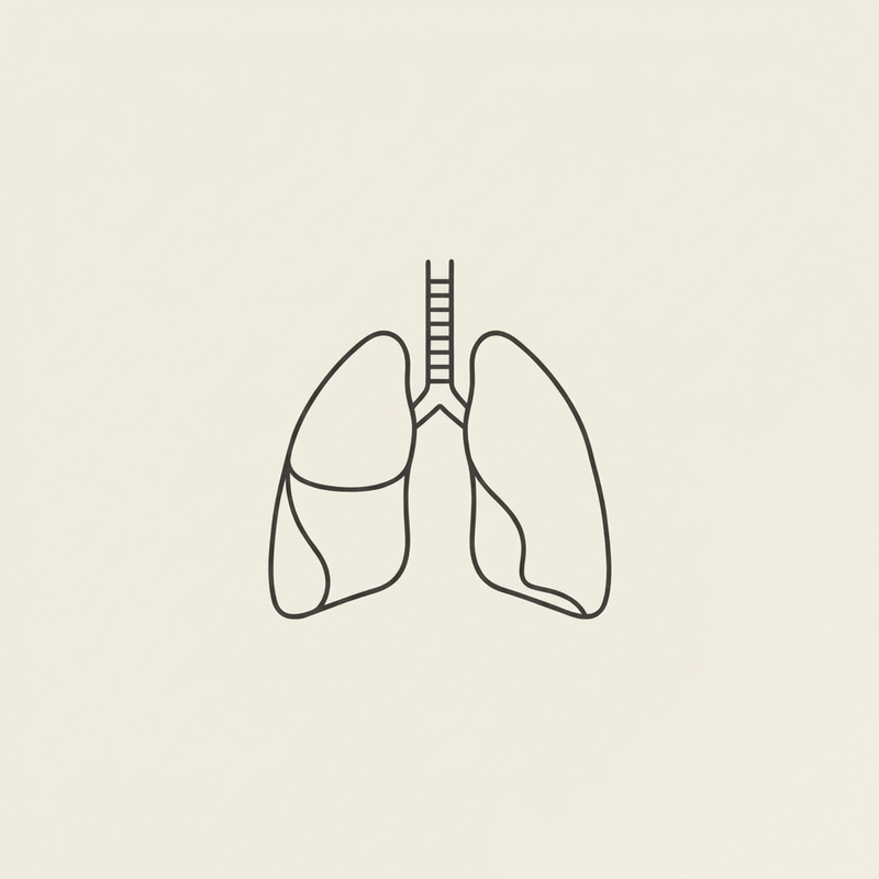 BRONCINE replacement