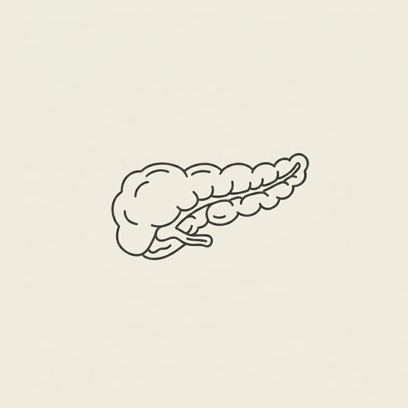 DIABENON pancreas illustration