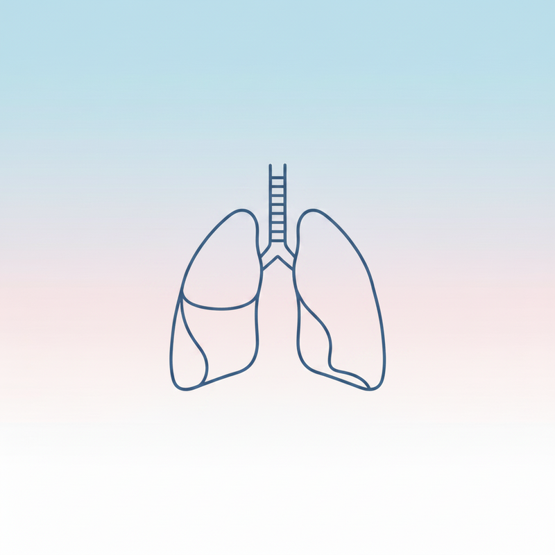 Lungs Line Art