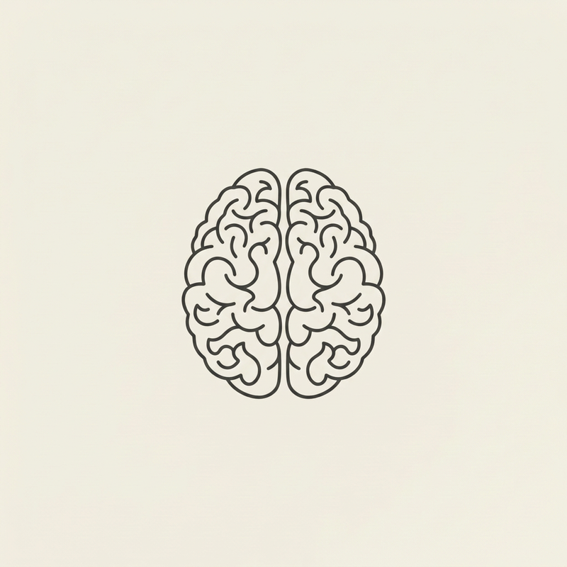MEMORON brain illustration